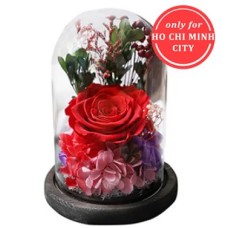 A Preserved Rose